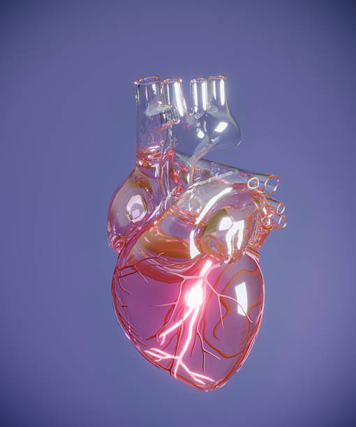 Dispositifs médicaux vasculaires